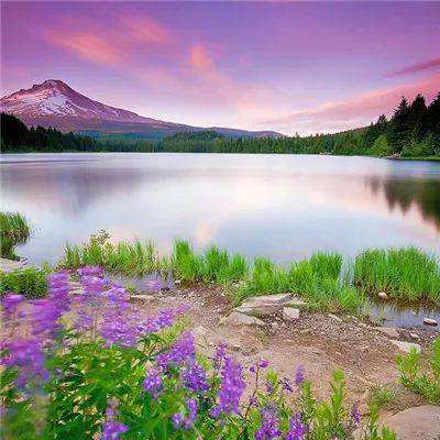 熊猫娱乐appapp下载