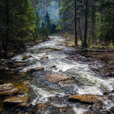 乐鱼(中国)官方网站下载手机版